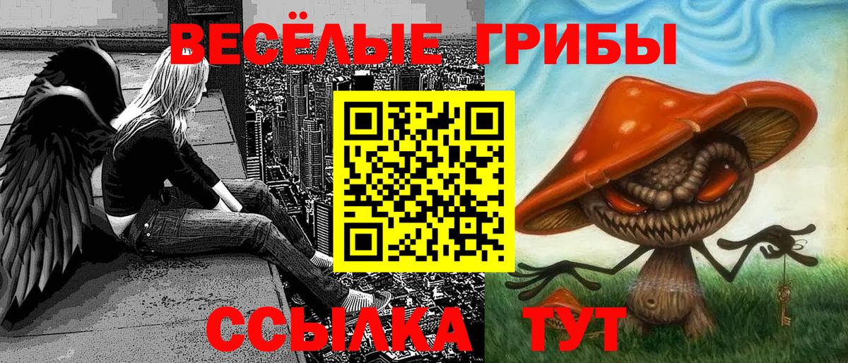 Галлюциногенные грибы ЛСД  цены   Галлюциногенные грибы GOLDEN TEACHER  Сегежа  Вход с VPN 